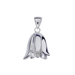 Dalaklocka, blåklocka och ängsklocka stor