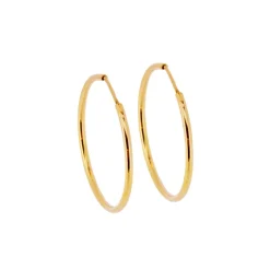 Guldfärgade örringar