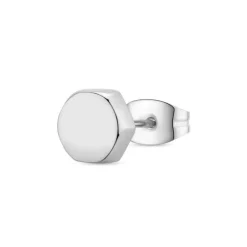 Hector örhänge stål