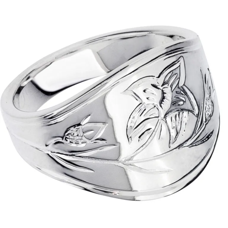 Landskapsring Dalarna