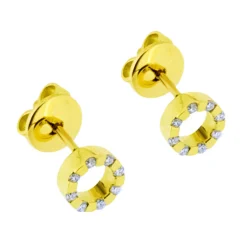 Örhängen diamanter