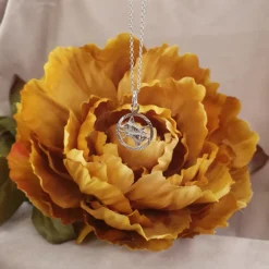 Stjärntecken fiskarna