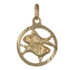 Stjärntecken fiskarna smycke äkta guld 9 karat