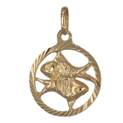 Stjärntecken fiskarna smycke äkta guld 9 karat