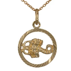 Stjärntecken halsband skorpion äkta guld 9 karat