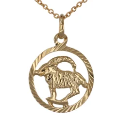 Stjärntecken halsband stenbock äkta guld 9 karat