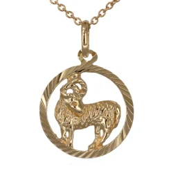 Stjärntecken halsband vädur äkta guld 9 karat