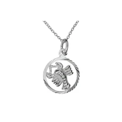 Stjärntecken kräftan