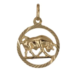 Stjärntecken oxe smycke äkta guld 9 karat