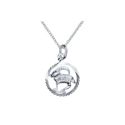 Stjärntecken stenbock