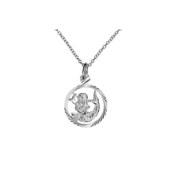 Stjärntecken vattuman