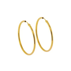 Stora guldfärgade örringar