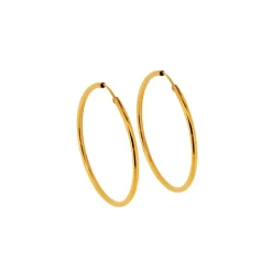 Stora roséfärgade örringar