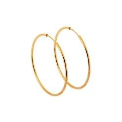 Stora roséfärgade örringar